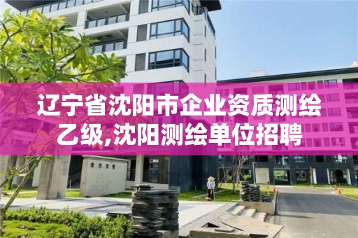 遼寧省沈陽市企業資質測繪乙級,沈陽測繪單位招聘