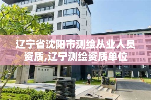 遼寧省沈陽市測繪從業(yè)人員資質(zhì),遼寧測繪資質(zhì)單位