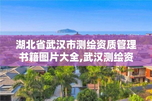 湖北省武漢市測繪資質(zhì)管理書籍圖片大全,武漢測繪資質(zhì)代辦。