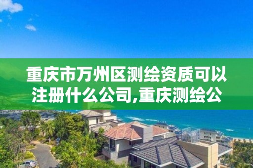 重慶市萬州區測繪資質可以注冊什么公司,重慶測繪公司名錄