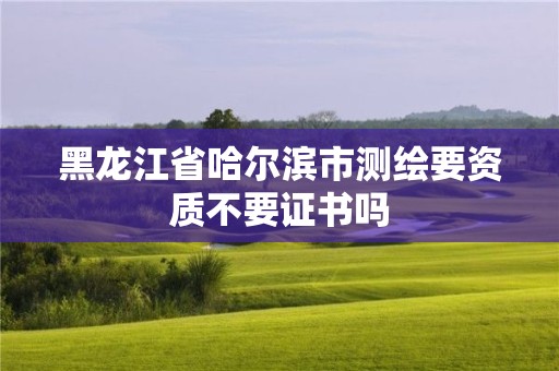 黑龍江省哈爾濱市測繪要資質不要證書嗎