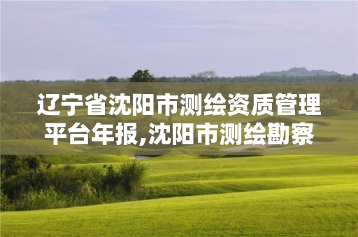 遼寧省沈陽市測(cè)繪資質(zhì)管理平臺(tái)年報(bào),沈陽市測(cè)繪勘察研究院