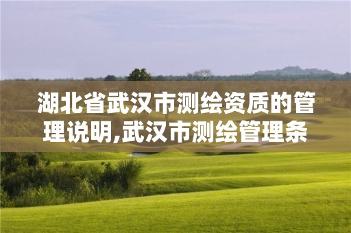 湖北省武漢市測繪資質的管理說明,武漢市測繪管理條例