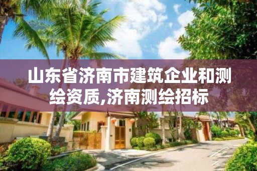 山東省濟南市建筑企業和測繪資質,濟南測繪招標