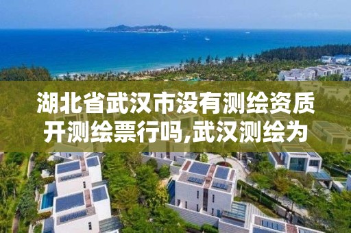 湖北省武漢市沒有測繪資質開測繪票行嗎,武漢測繪為什么厲害