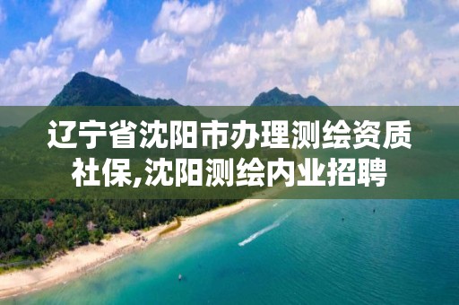 遼寧省沈陽市辦理測繪資質社保,沈陽測繪內業招聘