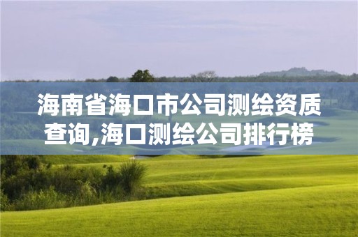 海南省海口市公司測繪資質查詢,海口測繪公司排行榜