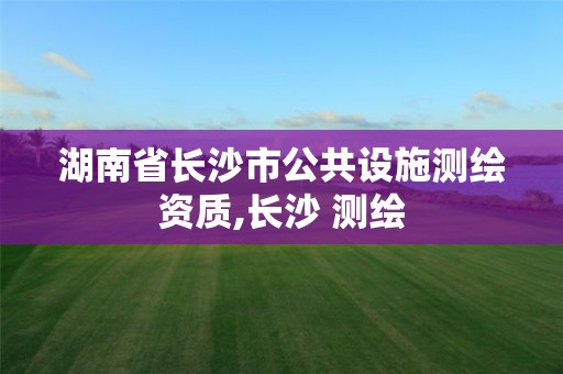 湖南省長沙市公共設施測繪資質(zhì),長沙 測繪