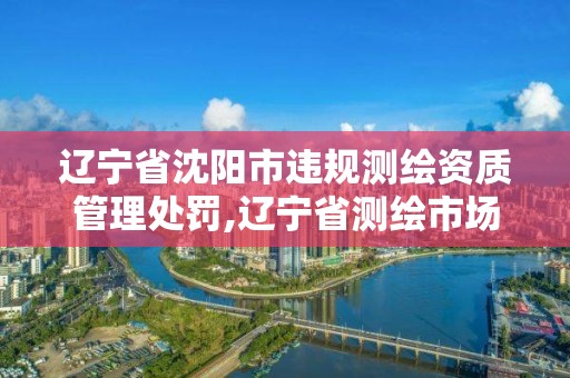 遼寧省沈陽市違規測繪資質管理處罰,遼寧省測繪市場管理辦法