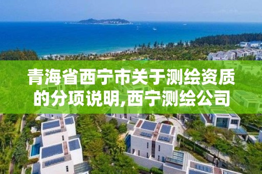 青海省西寧市關于測繪資質的分項說明,西寧測繪公司有哪些。