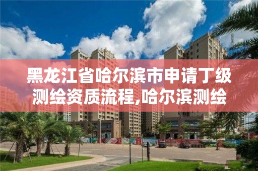 黑龍江省哈爾濱市申請丁級測繪資質流程,哈爾濱測繪有限公司