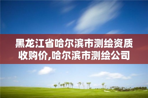 黑龍江省哈爾濱市測繪資質(zhì)收購價,哈爾濱市測繪公司