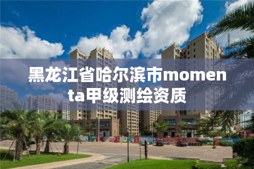 黑龍江省哈爾濱市momenta甲級測繪資質