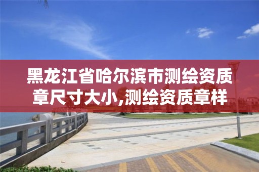 黑龍江省哈爾濱市測繪資質章尺寸大小,測繪資質章樣式