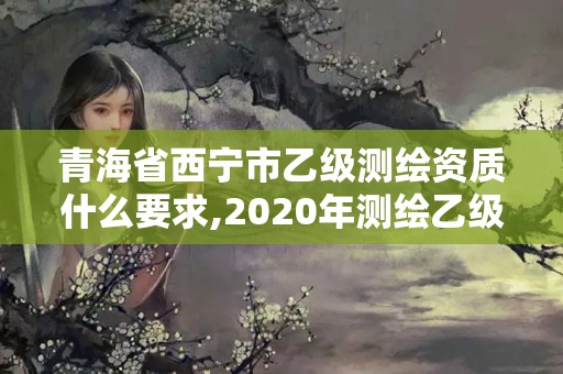 青海省西寧市乙級測繪資質什么要求,2020年測繪乙級資質申報條件