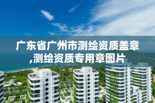 廣東省廣州市測繪資質蓋章,測繪資質專用章圖片