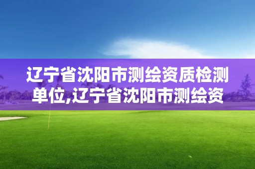 遼寧省沈陽市測繪資質檢測單位,遼寧省沈陽市測繪資質檢測單位名單