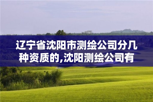 遼寧省沈陽市測繪公司分幾種資質(zhì)的,沈陽測繪公司有哪些。