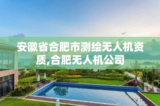 安徽省合肥市測繪無人機資質(zhì),合肥無人機公司