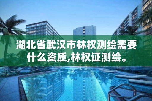 湖北省武漢市林權測繪需要什么資質,林權證測繪。