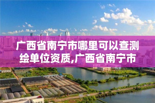 廣西省南寧市哪里可以查測繪單位資質,廣西省南寧市哪里可以查測繪單位資質