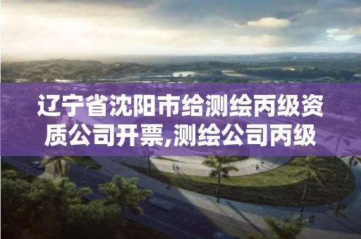 遼寧省沈陽市給測繪丙級資質公司開票,測繪公司丙級資質要求