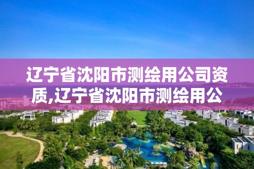 遼寧省沈陽市測繪用公司資質,遼寧省沈陽市測繪用公司資質的有哪些