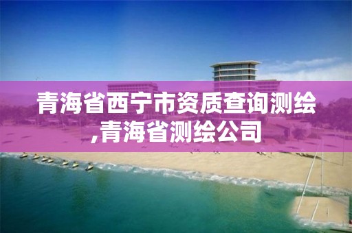 青海省西寧市資質(zhì)查詢(xún)測(cè)繪,青海省測(cè)繪公司