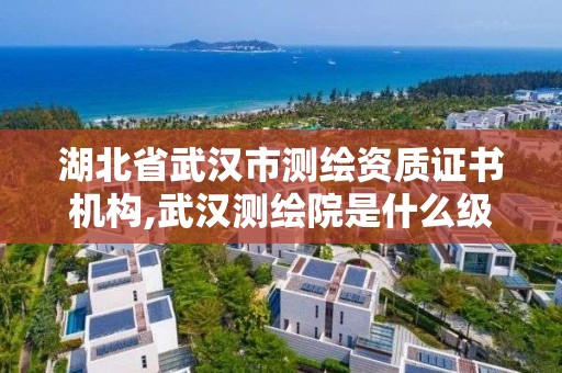 湖北省武漢市測繪資質證書機構,武漢測繪院是什么級別。