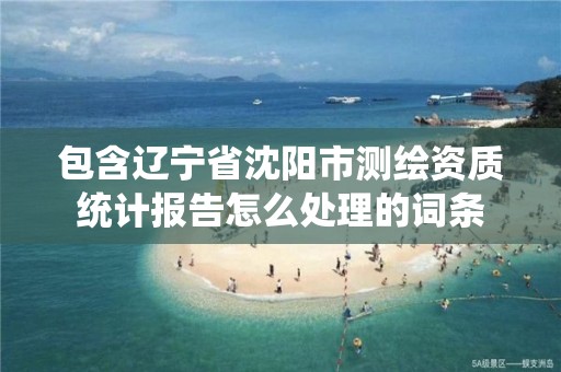 包含遼寧省沈陽市測繪資質統計報告怎么處理的詞條