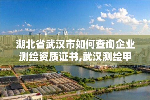 湖北省武漢市如何查詢企業測繪資質證書,武漢測繪甲級資質公司。