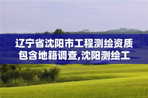 遼寧省沈陽市工程測繪資質包含地籍調查,沈陽測繪工程師招聘。