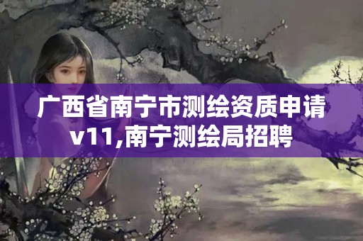 廣西省南寧市測繪資質申請v11,南寧測繪局招聘