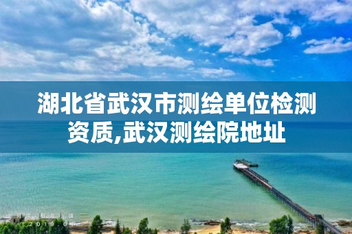 湖北省武漢市測繪單位檢測資質,武漢測繪院地址