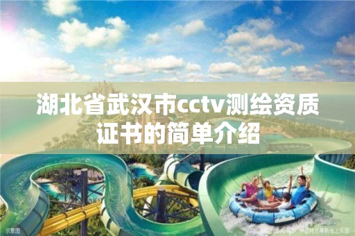 湖北省武漢市cctv測繪資質(zhì)證書的簡單介紹