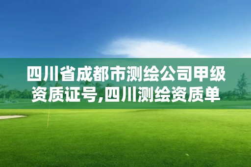 四川省成都市測繪公司甲級資質證號,四川測繪資質單位