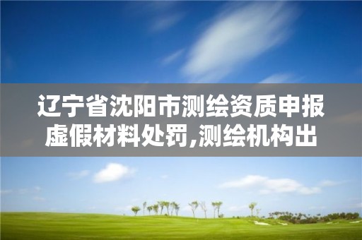 遼寧省沈陽市測繪資質申報虛假材料處罰,測繪機構出具虛假數據