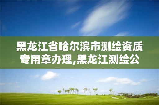 黑龍江省哈爾濱市測繪資質專用章辦理,黑龍江測繪公司乙級資質