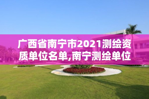 廣西省南寧市2021測(cè)繪資質(zhì)單位名單,南寧測(cè)繪單位排名。