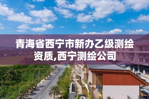 青海省西寧市新辦乙級測繪資質(zhì),西寧測繪公司