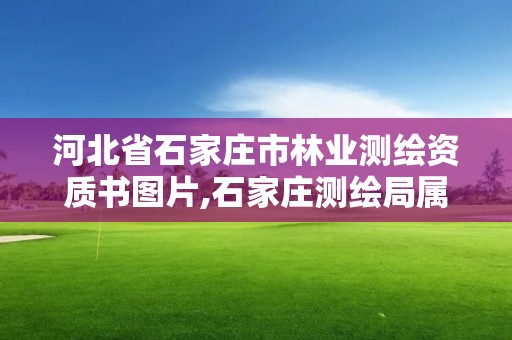 河北省石家莊市林業測繪資質書圖片,石家莊測繪局屬于哪個區