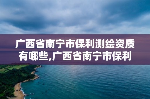 廣西省南寧市保利測繪資質有哪些,廣西省南寧市保利測繪資質有哪些單位