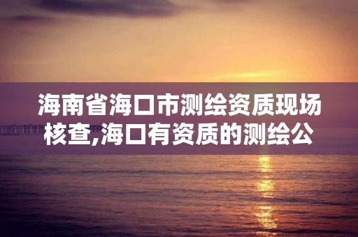 海南省海口市測繪資質現場核查,海口有資質的測繪公司