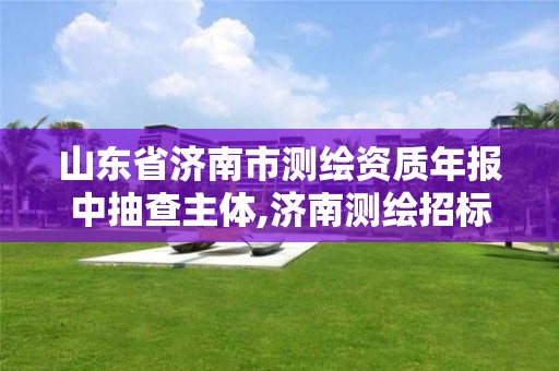 山東省濟南市測繪資質年報中抽查主體,濟南測繪招標。