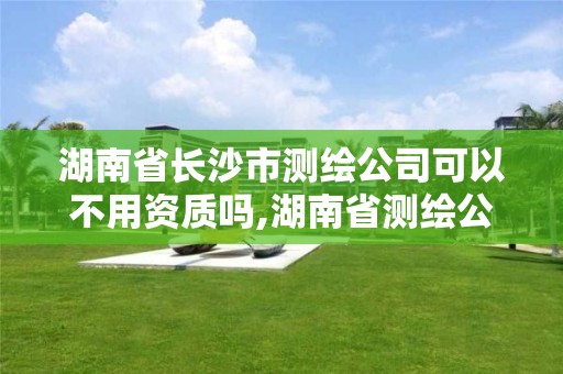 湖南省長沙市測繪公司可以不用資質嗎,湖南省測繪公司有哪些