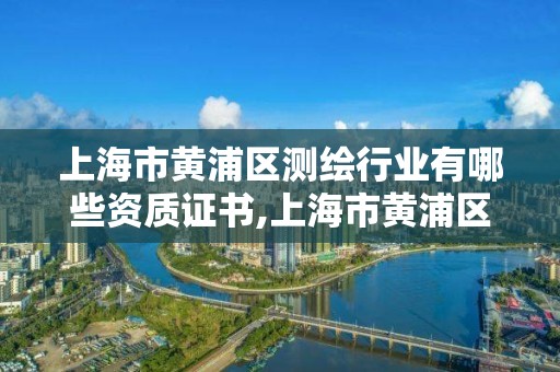 上海市黃浦區測繪行業有哪些資質證書,上海市黃浦區測繪行業有哪些資質證書的。