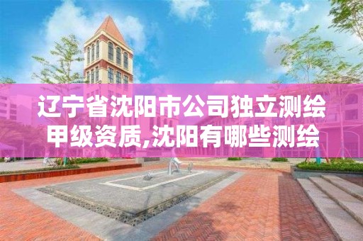 遼寧省沈陽市公司獨立測繪甲級資質,沈陽有哪些測繪公司招聘