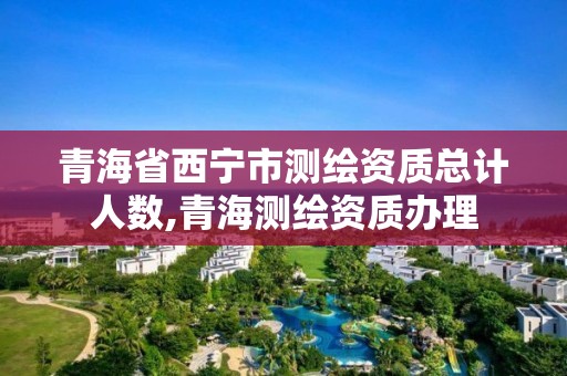 青海省西寧市測繪資質總計人數,青海測繪資質辦理