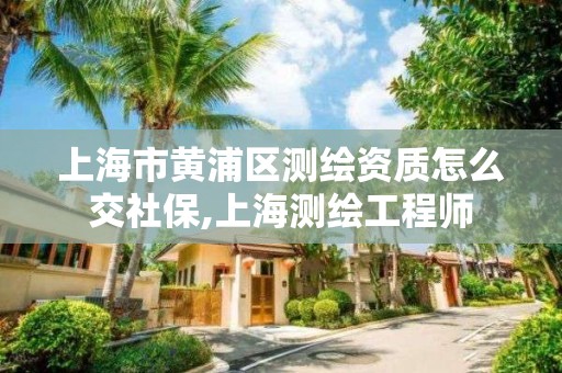 上海市黃浦區測繪資質怎么交社保,上海測繪工程師