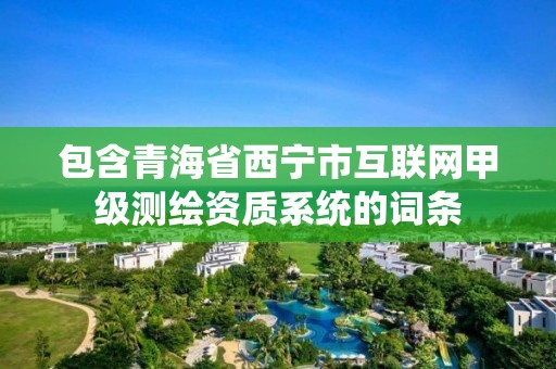 包含青海省西寧市互聯網甲級測繪資質系統的詞條